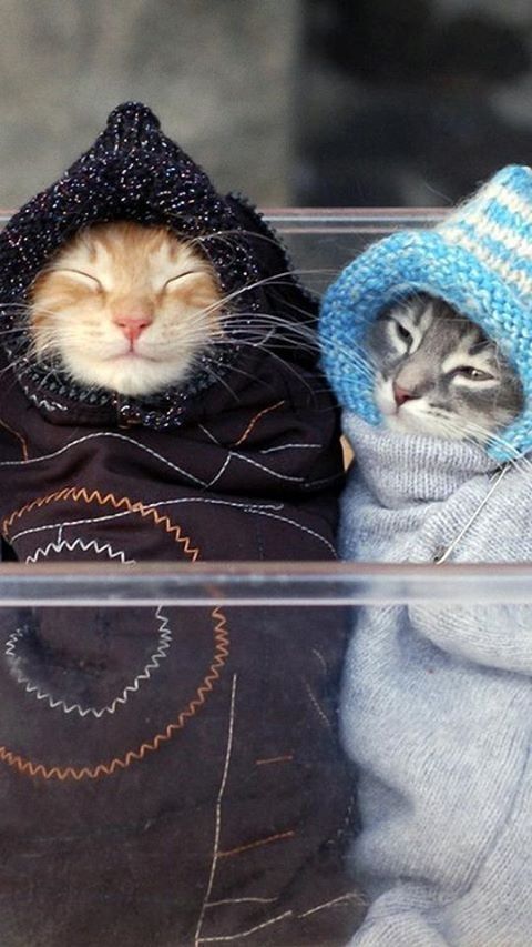 CHILL! IT’S NOT THE&nbsp;WEATHER.